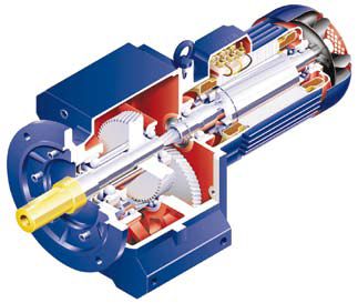 Bauer Getriebemotor mit CAGE CLAMP Anschluss Bauer Getriebemotor mit CAGE CLAMP Anschluss